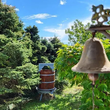 Sol Invictus Vendeghaz *