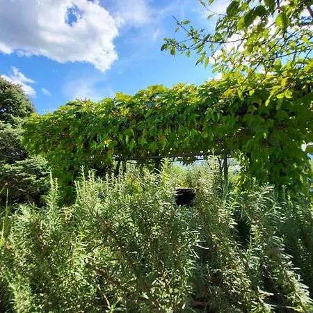 Sol Invictus Vendeghaz Σπίτι διακοπών Zalahaláp