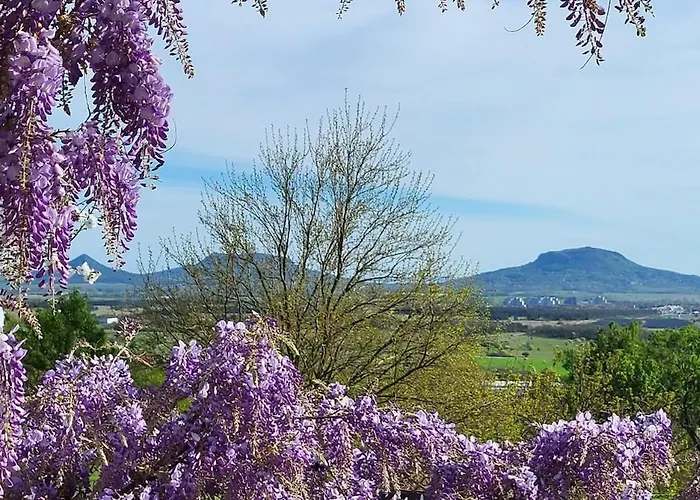 Σπίτι διακοπών Sol Invictus Vendeghaz