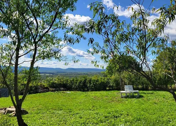 Sol Invictus * Zalahaláp