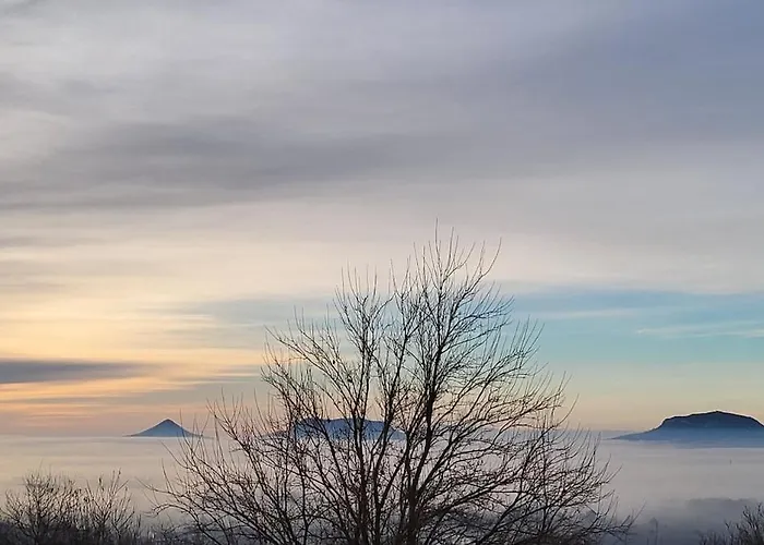 Sol Invictus Zalahaláp