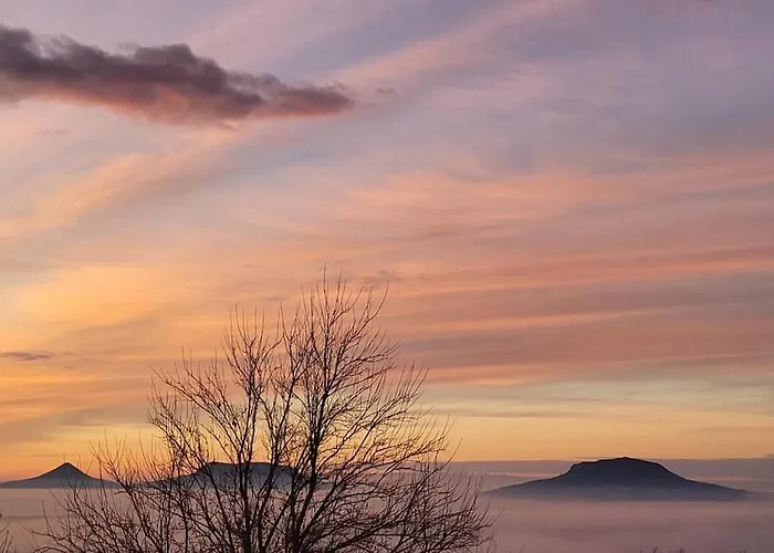 Sol Invictus * Zalahaláp