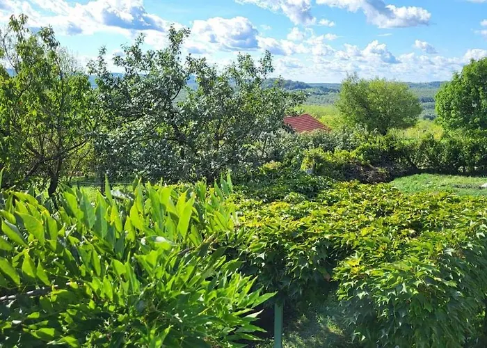 Σπίτι διακοπών Sol Invictus Vendeghaz