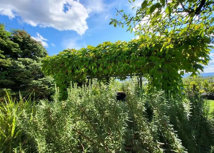 Sol Invictus Vendeghaz Σπίτι διακοπών Zalahaláp