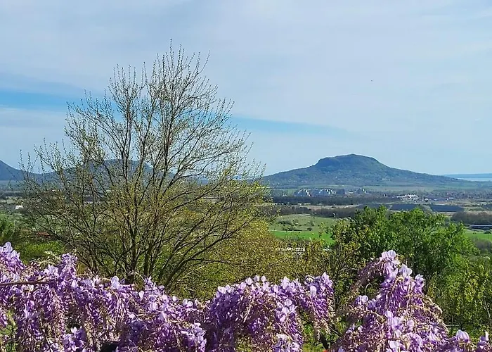 Sol Invictus Vendeghaz